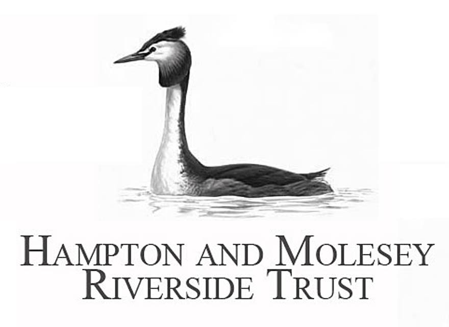 The Hampton and Molesey Riverside Trust 